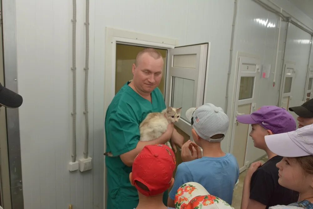 Детский приют миссис коул. Приют детей малышей. Социальный приют для детей и подростков изображение. Обухово приют для детей. Приют для детей вакансии.
