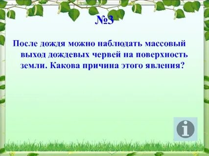Наблюдать частый