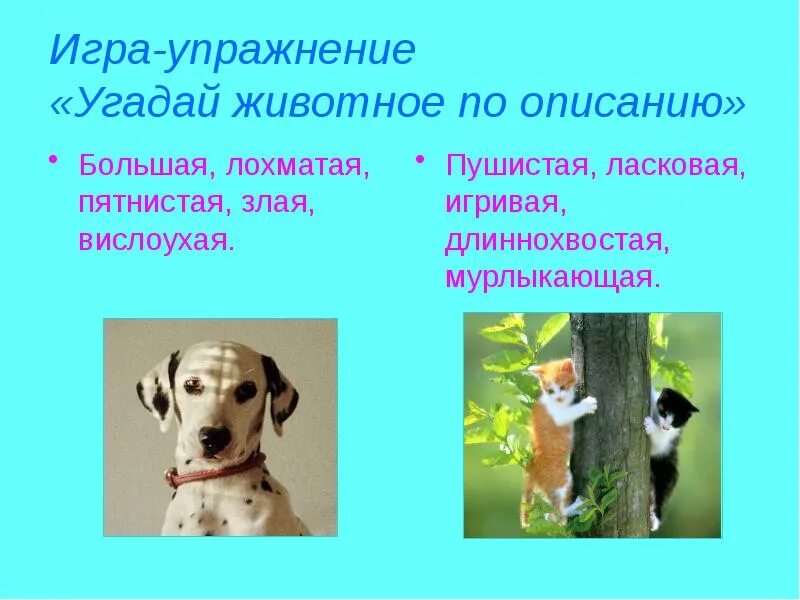 Приложение определить животное. Угадай животное по описанию. угадать животное по описанию для детей. угадай животное по описанию для детей. угадай домашнее животное по описанию.