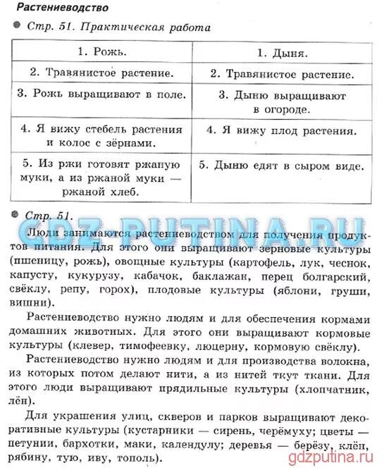 Практическая работа 3 класс окружающий мир растениеводство. Практическая работа по окружающему миру. Растениеводство окружающий мир практическая работа. Практическая работа Растениеводство 3 класс. Практическое задание Растениеводство 3 класс окружающий мир.