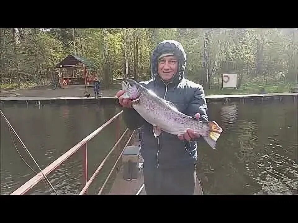Рыбалка клёвое место лосиный остров. Лосиный остров форель. Лосиный остров форель. Рыбалка клёвое место лосиный остров. Лосиный остров форель.