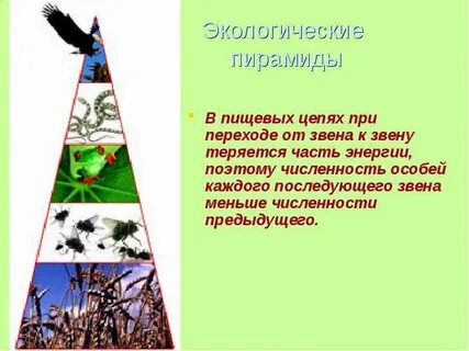 Каждое последующее звено