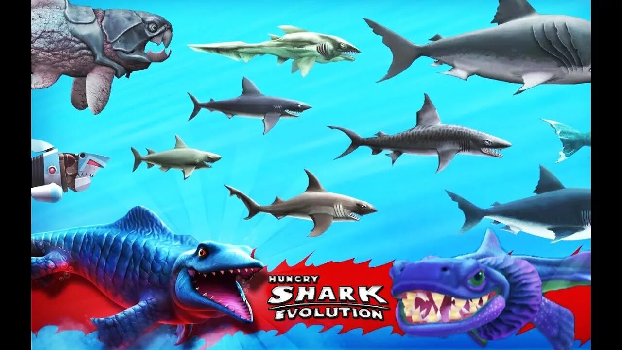 Хангри Шарк Эволюшн. Hungry Shark Evolution большой папочка. Хангри Shark Evolution акула молот. Морские котики hungry Shark Evolution. Игра большая акула