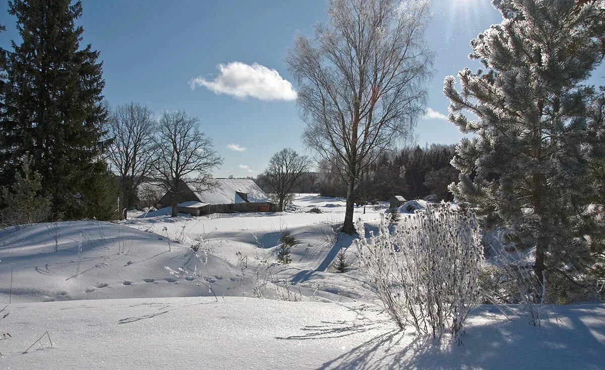 Верещагин большая масленица. Рисунок на тему прощание с зимой. С последним днем зимы. Прощание с зимой. Прощание с зимой.