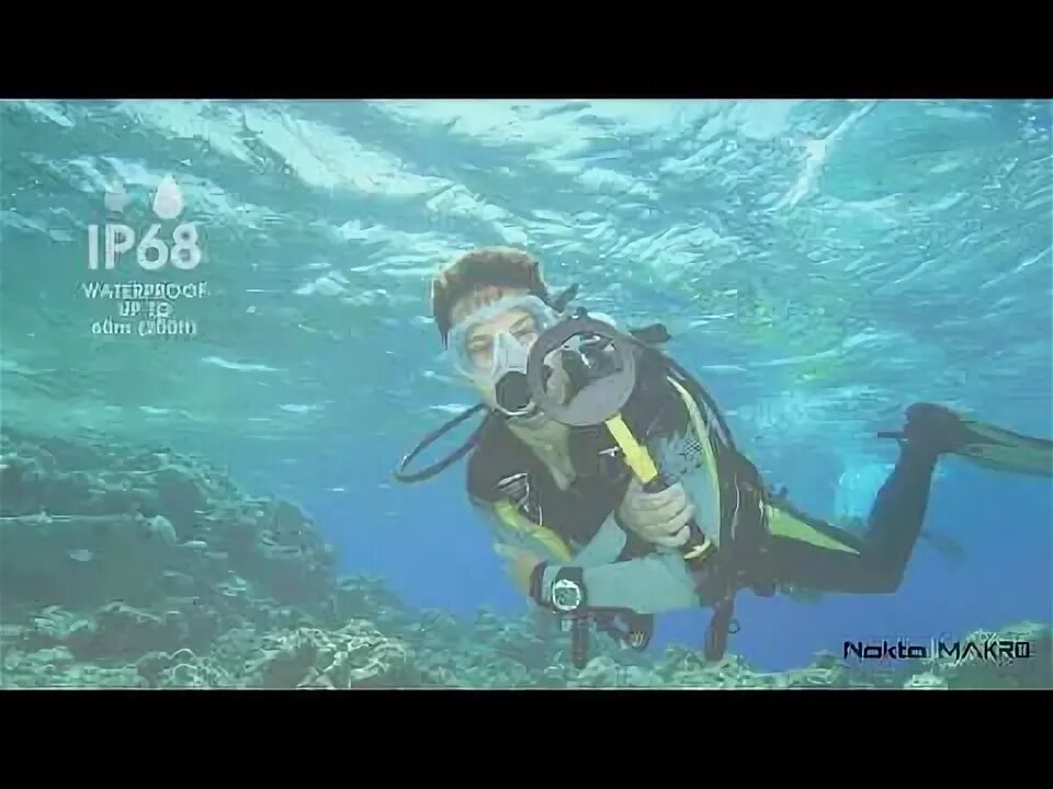 Nokta scuba. Скуба акваланг. скуба-дайвинг, scuba-diving. ланга на аву.