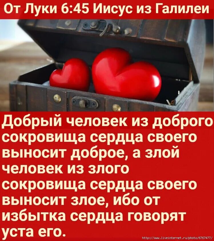 Сердце не вынесет