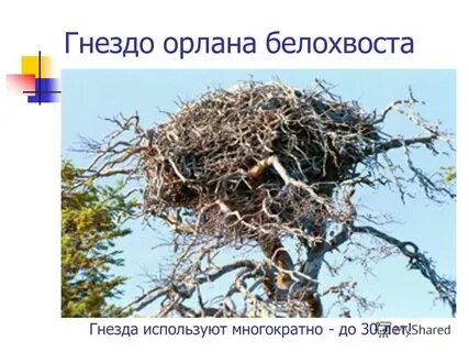 Использовано гнезд 2 из 2