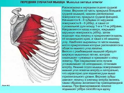 Зубчатая функции