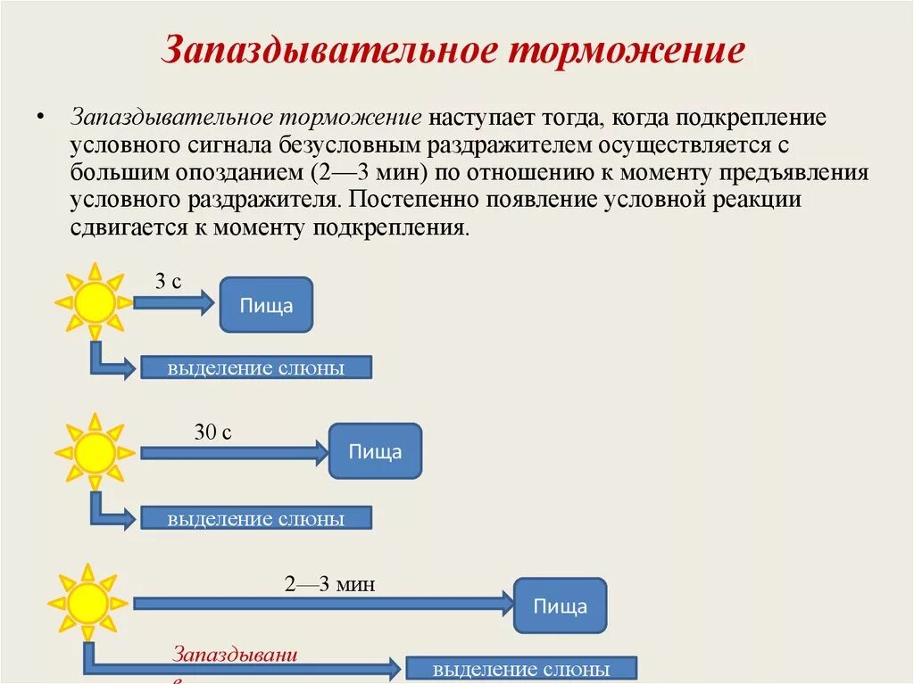 Запаздывающее торможение примеры. Запаздывающее торможение условных рефлексов. Торможение запаздывания примеры. Торможение запаздывания примеры у человека.