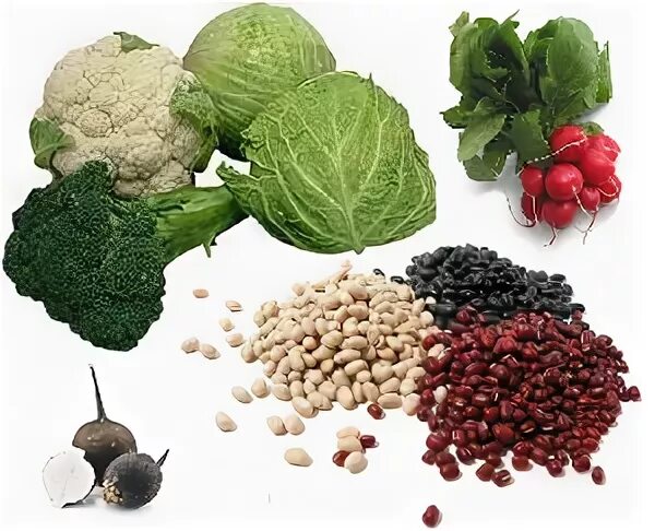 Вызвать продукты