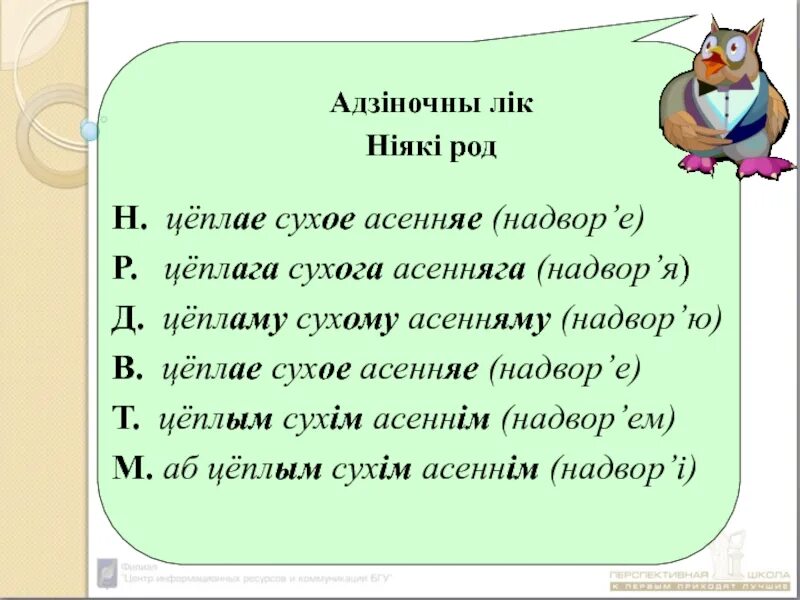 Род назоўнікаў у беларускай мове. Адзіночны лік. Род прыметнікаў. ЧАСЦІНА мовы якая адказвае на пытанне як. Прыметнік як ЧАСЦІНА мовы.