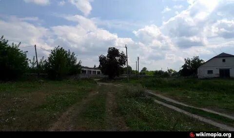Борщевка рыльского уезда