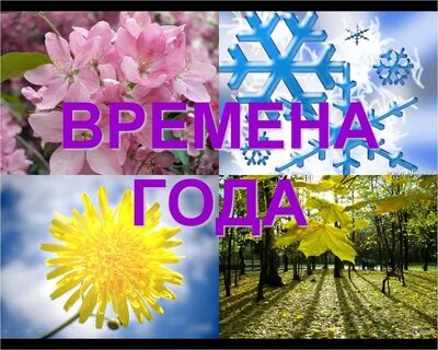 В это время года требуется