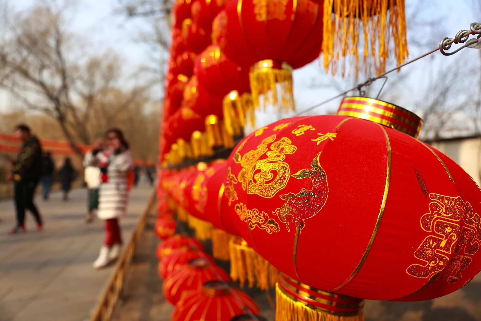 Celebrating chinese new year