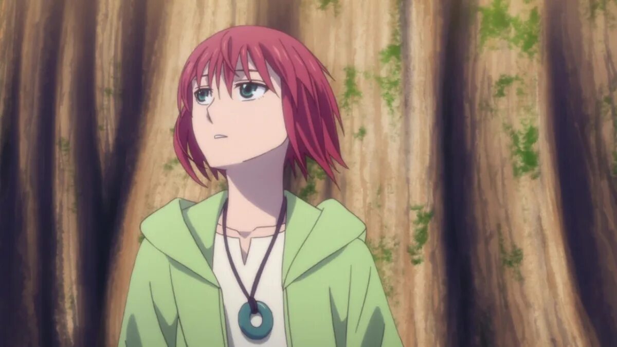 Невеста чародея был ли. Невеста чародея элиас и чисэ дети. Невеста чародея был ли. Невеста чародея элиас. Невеста чародея.