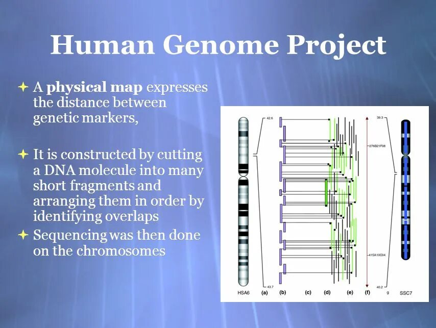 Проект геном человека. Human Genome Map. Human genetic methods. «Human Genome Project – write».
