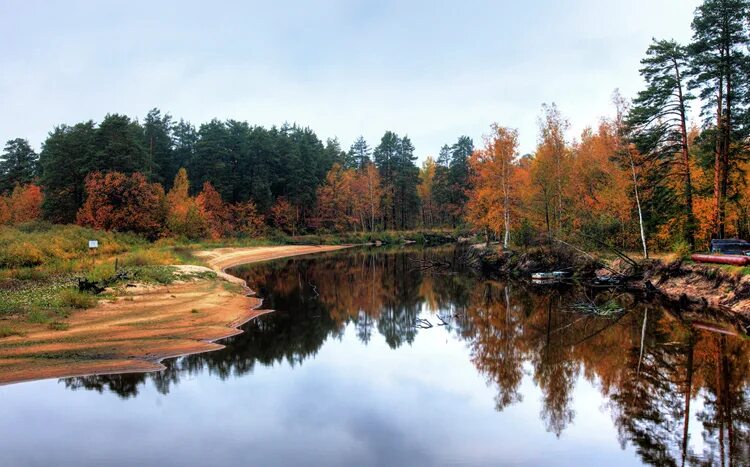 окский биосферный заповедник. окский биосферный заповедник. окский биосферный заповедник в рязанской области. брыкин бор рязанская область. река пра окский заповедник.