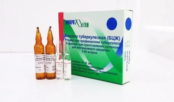 Бцж является живой вакциной. Вакцина туберкулезная бцж. вакцина против туберкулеза бцж м. форма выпуска вакцины бцж. вакцина туберкулезная для щадящей первичной иммунизации бцж-м.