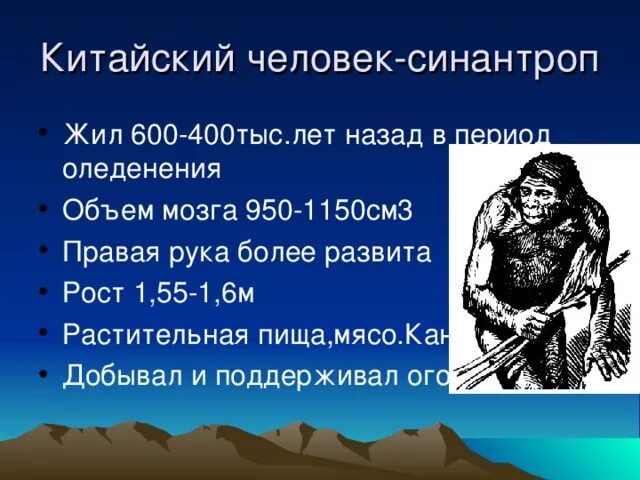 Синантроп человек. Синантроп исторический Возраст. Синантроп период жизни. Синантроп орудия труда. Живущий 600 лет