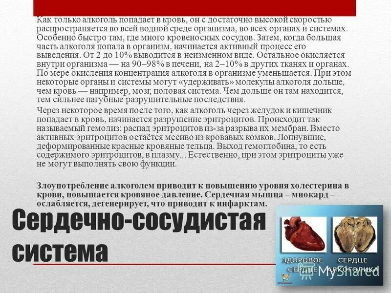 Клинические признаки легкой степени алкогольного опьянения. Бросаю пить последствия по дням. Алкогольный гипотез. Алкоголь всасывается в кровь. Инфографика употребление алкоголя.