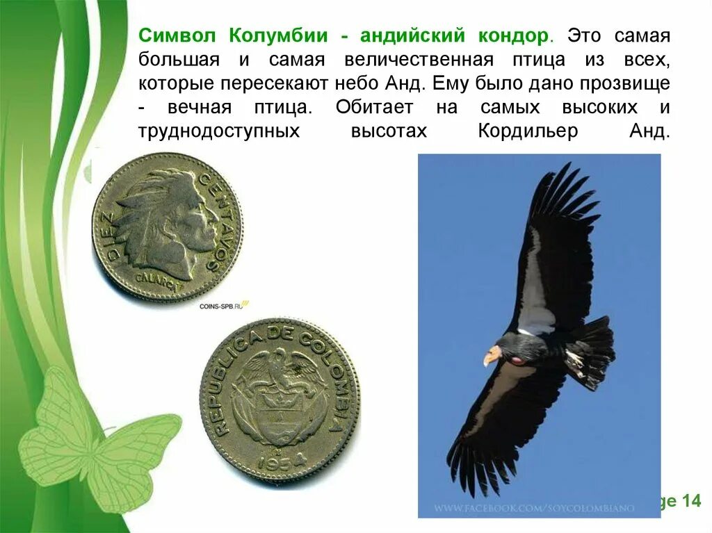 Символ животных в разных странах. Животные символизирующие мир. Птица символ страны.
