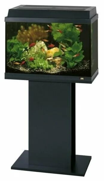 Аквариум juwel primo 70 led. Juwel фильтры для аквариума. Аквариум джувел 70 литров. Аквариум juwel primo 70 led. Аквариум juwel primo 110.