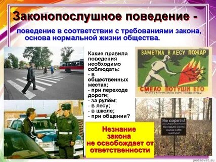 Проводить закон в жизнь