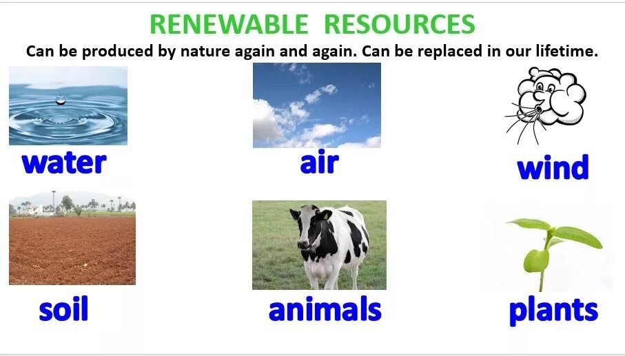 Resources be. Renewable resources. Renewable natural resources. Natural resources. Renewable resources примеры.