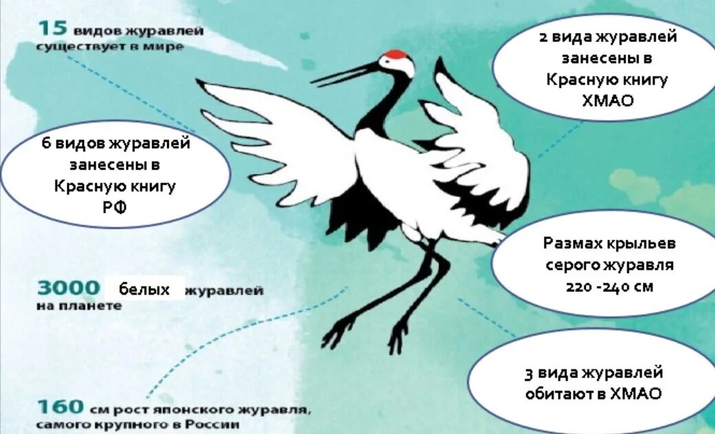 Журавль символ чего в россии. Всемирный день журавля. Открытка с днем журавля. Всемирный день журавля 2023. Всемирный урок журавля.