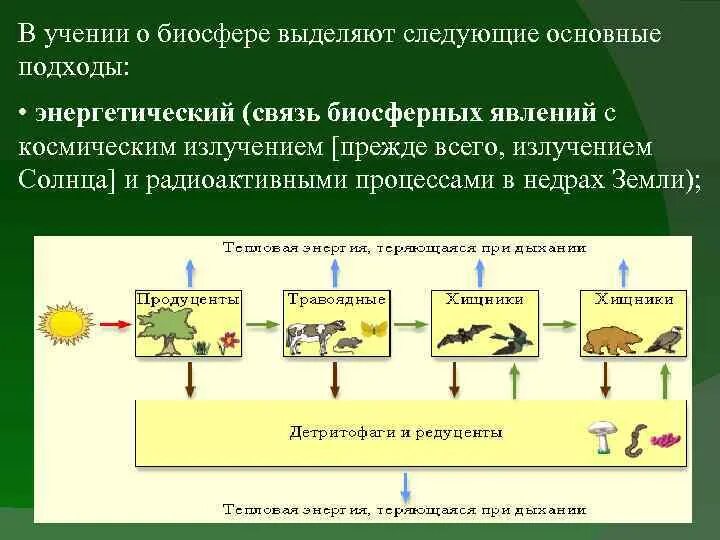 Можно ли считать завершенным процессом формирования биосферы. Связь биосферы. Процессы в биосфере. Основные подходы учения о биосфере. Энергетический баланс биосферы.