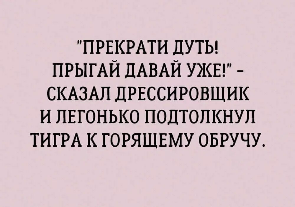 весёлые истории из жизни. смешные случаи из жизни короткие. неожиданные короткие истории. неожиданные короткие истории. смешные рассказы.