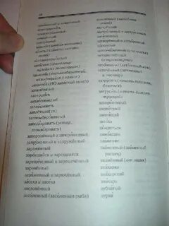 Литературный язык тест
