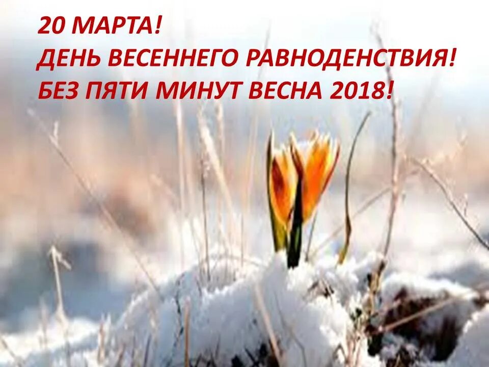 Доброе утро с днем весеннего равноденствия. Открытки с весенним равноденствием.