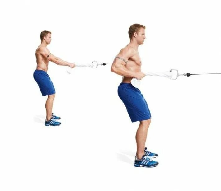 Curl row. Standing cable row. back exercises in gym. back workout. upper back gym.