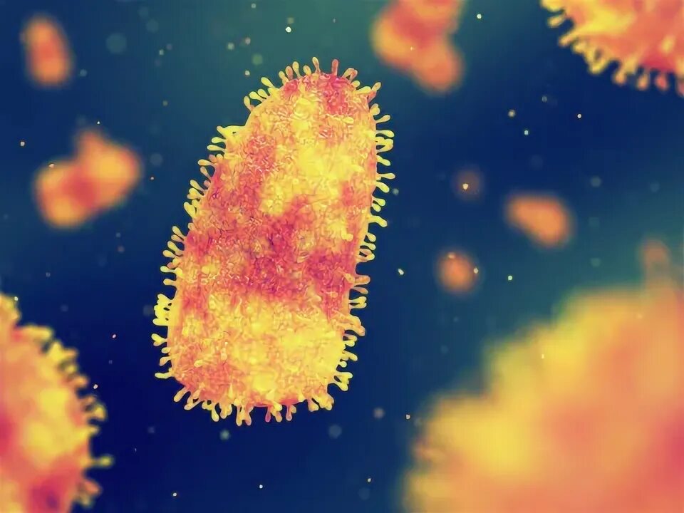 Rabies: CDC Updates PrEP Vaccination Recommendations