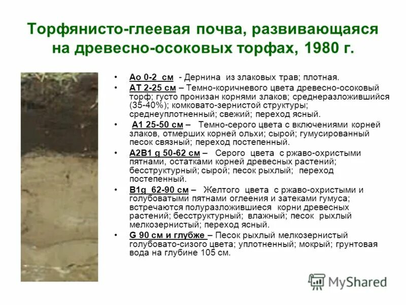 Процесс образования гумуса. Климатические условия почв. Основные условия образования черноземных почв. Каким образом и почему изменяется содержание гумуса. Типы органического вещества гумус.