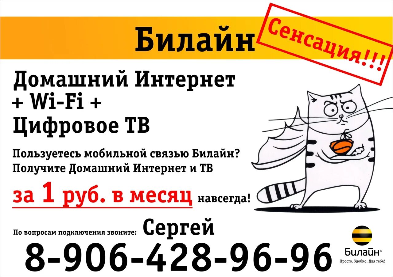 Билайн интернет калининград. Билайн домашний интернет. Листовки Билайн. Рекламные листовки Билайн.