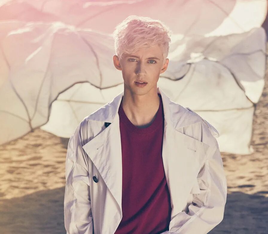 He has a dream. Troye Sivan. Трой Сиван фотосессия. Трой Сиван ангел бэби. Трой Сиван Блум 2019.