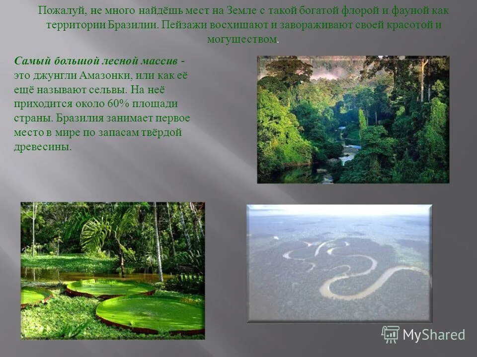 бразилия занимает 1 место по. бразилия занимает 1 место по. бразилия презентация по географии 11 класс. страны которые омывает атлантический океан. бразилия занимает 1 место по.
