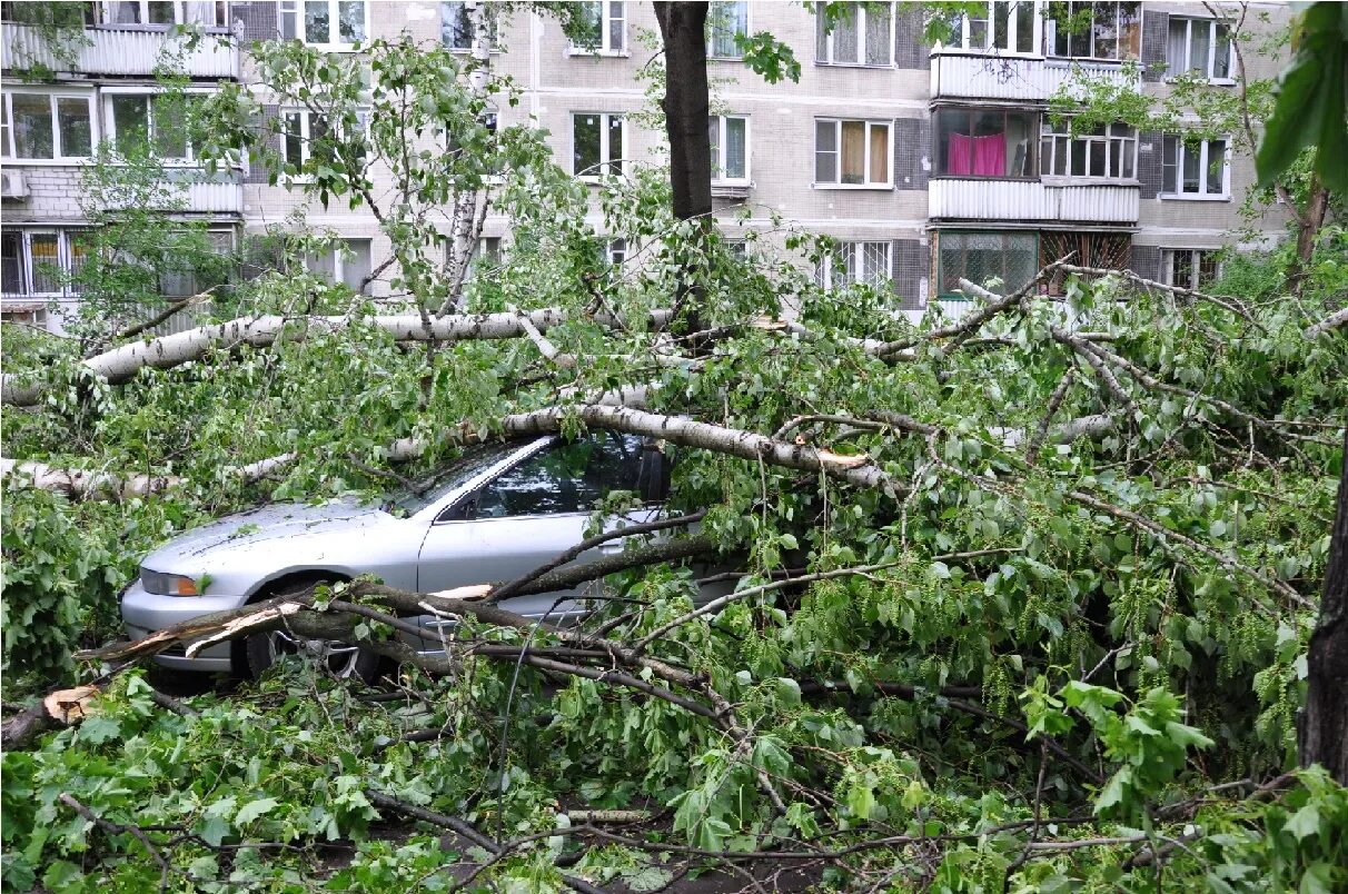 Ураган 29 май 2017 Москва. Ураган май 2017 Москва. Ураган в Москве 1998. Ураган в Москве 2001.