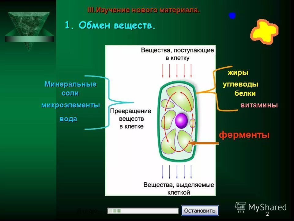 регуляторная функция крови. химический состав клетки 9 класс органические вещества. химические соединения клетки таблица. химический состав клетки вода. постоянные вещества в клетках.