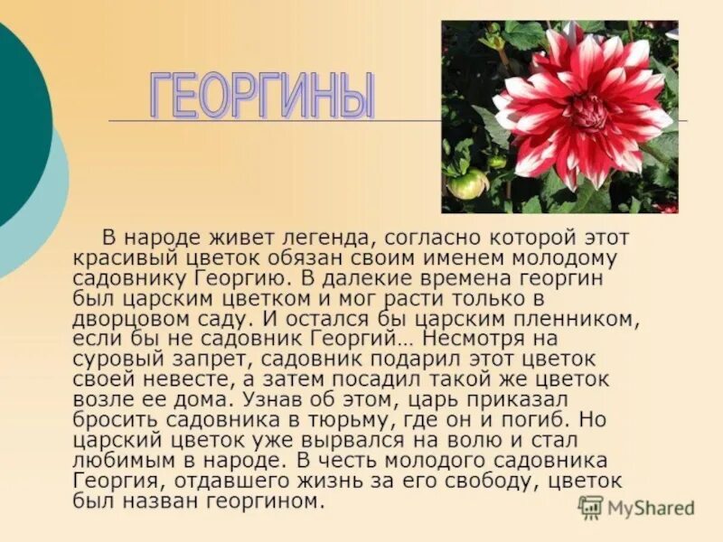 Сообщение о легенде