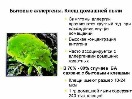 Пыль клещей аллергия