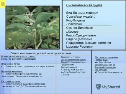 Заполните таблицу систематическая группа характерные особенности примеры