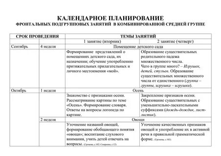 Индивидуальный план работы с семьей в доу