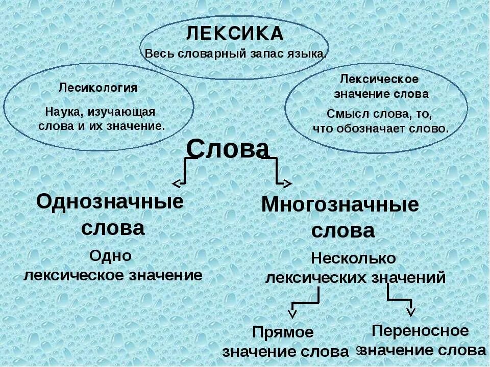 Новая лексика это. Олнозначные и многозначные словв. Однозначные и многозначнве морва. Лексика однозначные и многозначные слова. Однозначные и многозначные Сова.