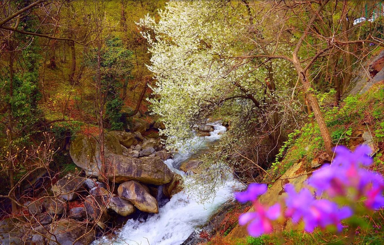 Весной весело журчат ручьи. Горный ручей Абхазия. Горные ручьи Сочи. Кравцовские водопады весной. Ручей фей Вьетнам.
