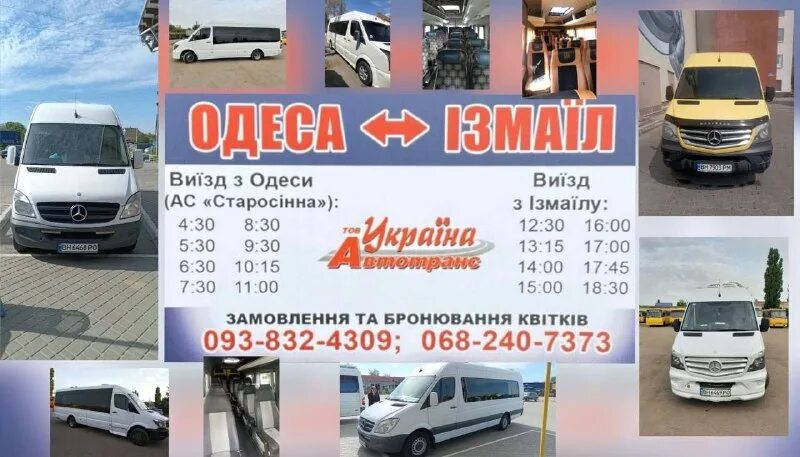 автотранс жлобин