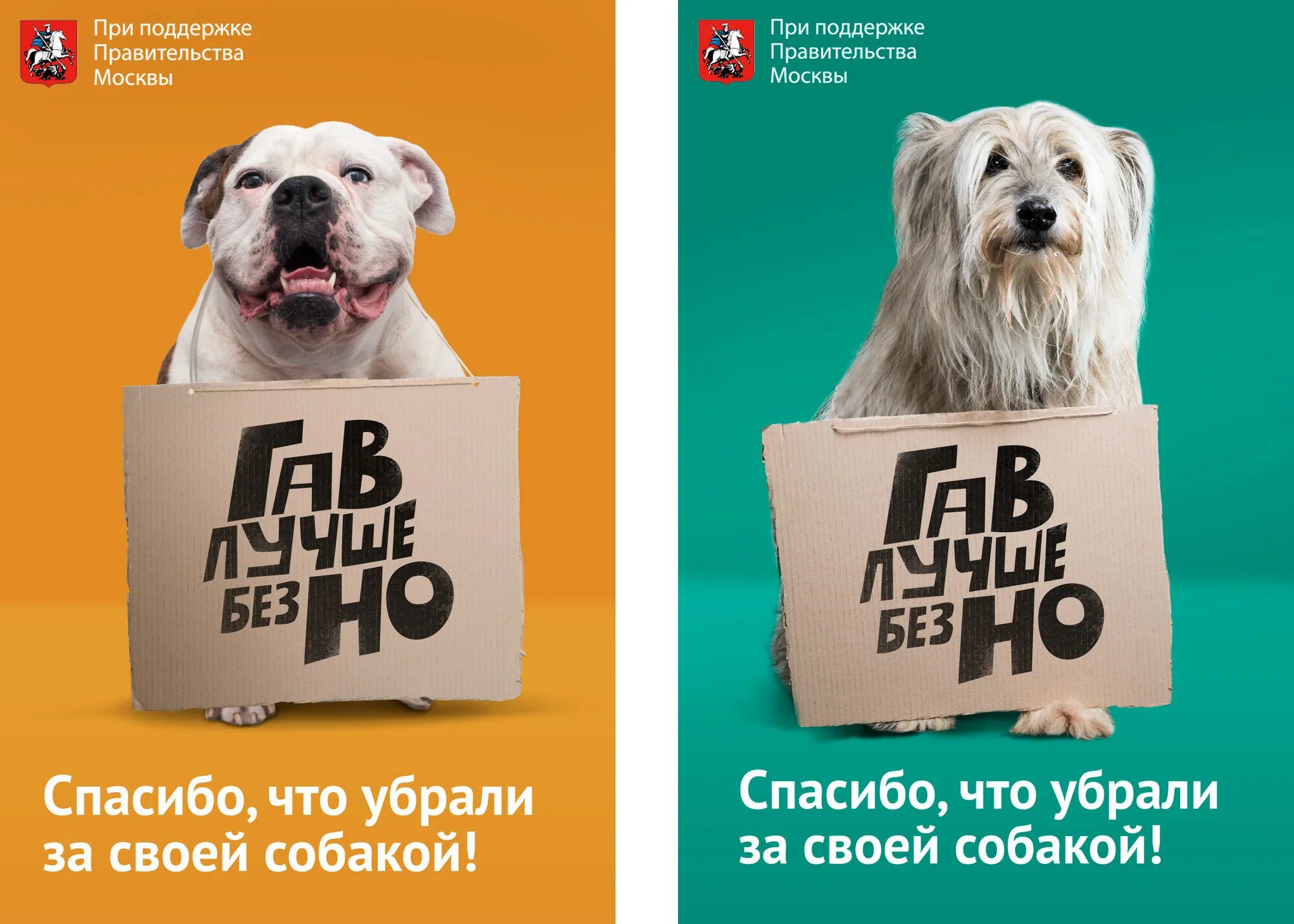 Убирать собачьи какашки. Убирайте за собаками. плакат убирай за собакой. убирать за собакой. реклама с собакой.