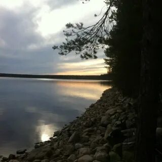 Лососинное петрозаводск